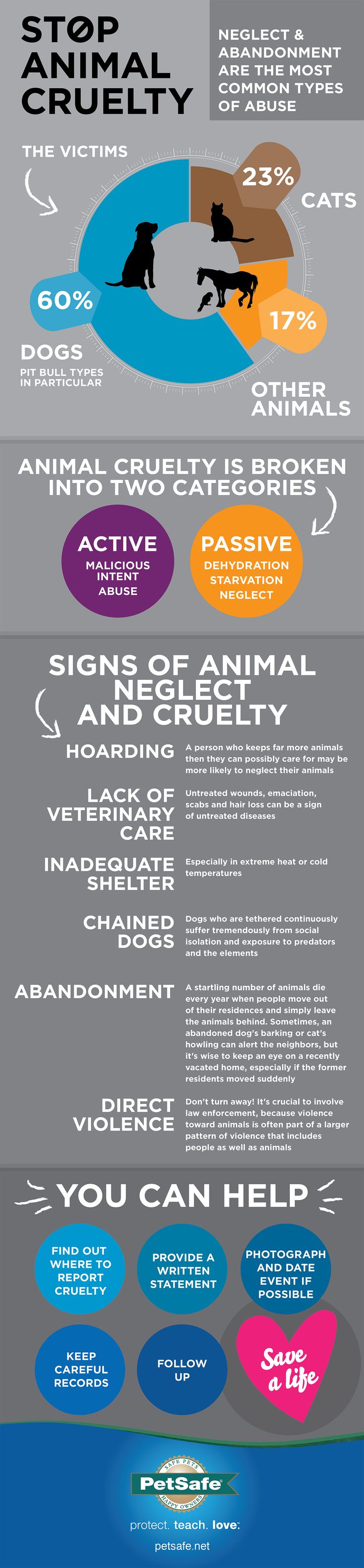 Stop Animal Cruelty [Infographic] – PAWedu